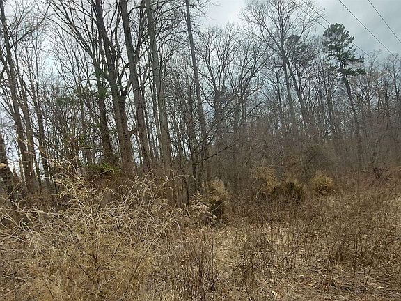 2nd image of 720 Robbins Perch Trl