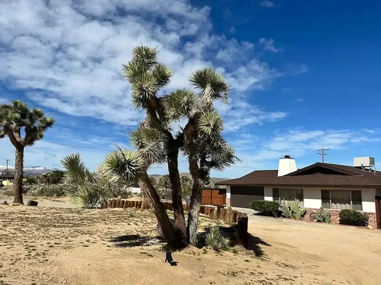 Adobe Dr — Photo 27