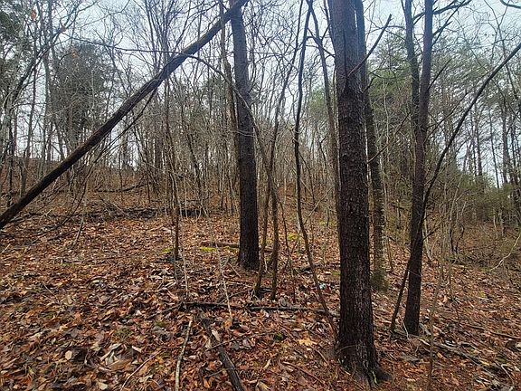 3rd image of 3 Bear Hollow Way Lot 3