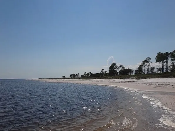 167 Smores Way, Sopchoppy, FL 32358