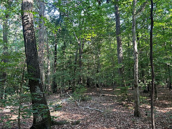 5th image of 0 Swamp Fox Dr