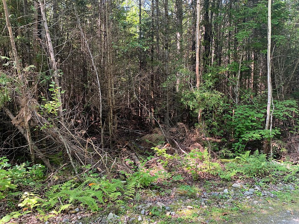 2nd image of tbd Black Brook Pond Road