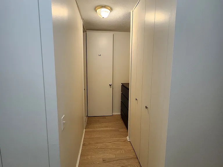 405 N Wabash Ave #1003 — Photo 10