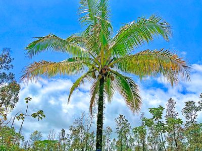 14th Ave Lot 461, Keaau, HI, 96749