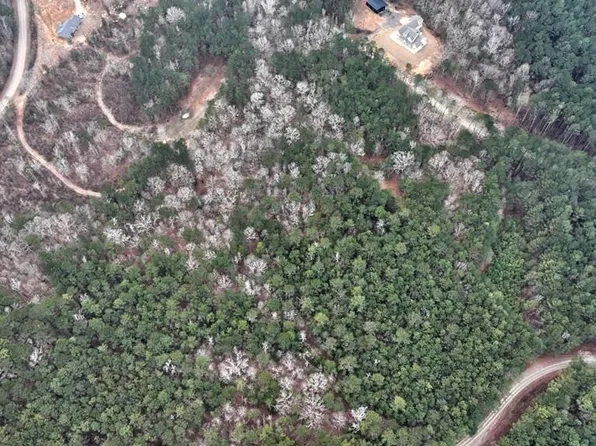 LOT 5 Cochran Rd, Madison, GA 30650