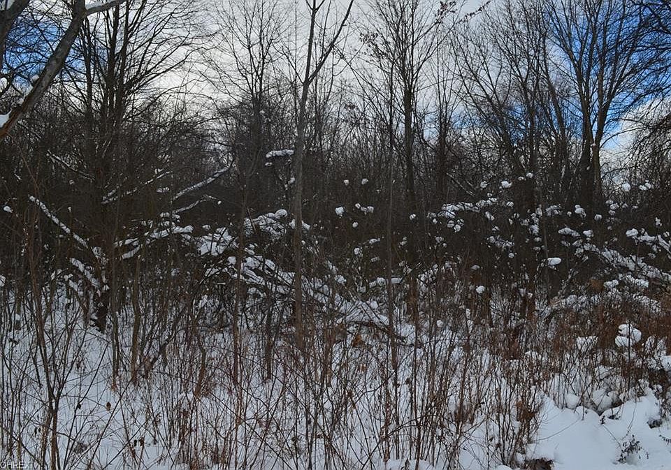 2nd image of 4770 Baldwin Rd
