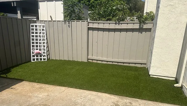 Backyard Turf Area