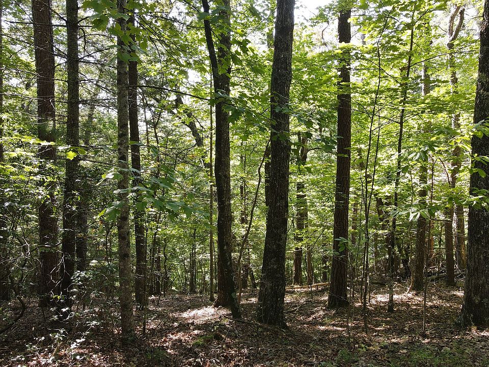 0 Tipton Springs Rd, GA 30560 MLS 328665 Zillow