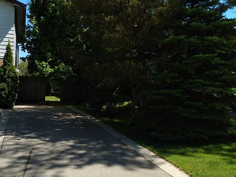 23 Heatherdale Pl — Photo 27