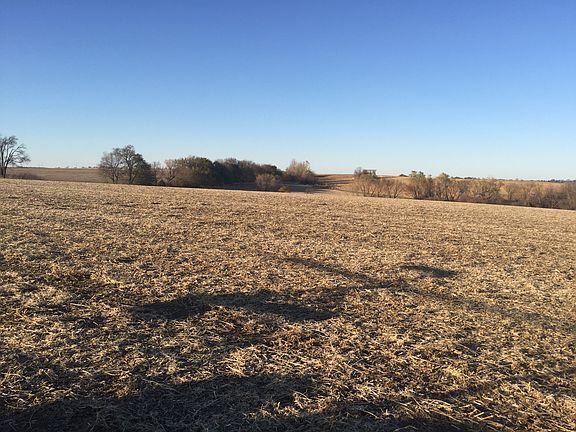 4th image of Palmero 78 Acres