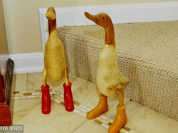 5th image of 504 Wood Duck Ln