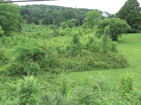 2nd image of Oliver Springs Hwy
