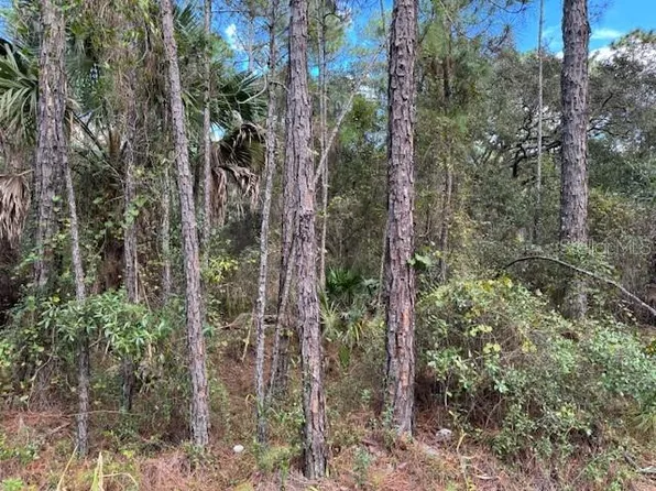 12th Ave Lot 112, Deland, FL 32724