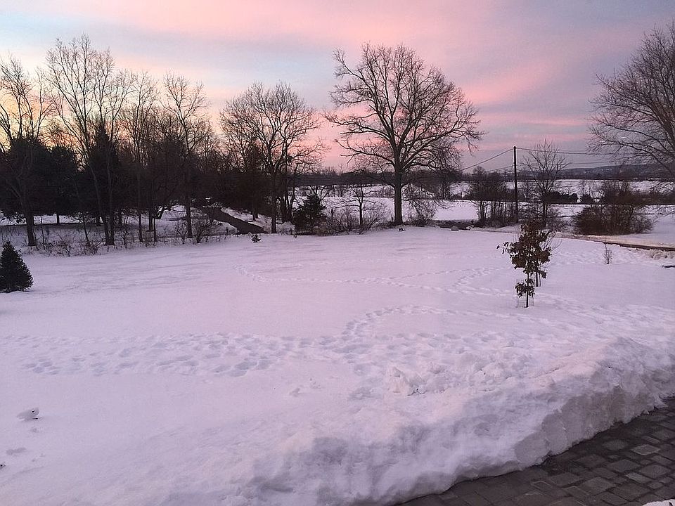 view from livingroom 