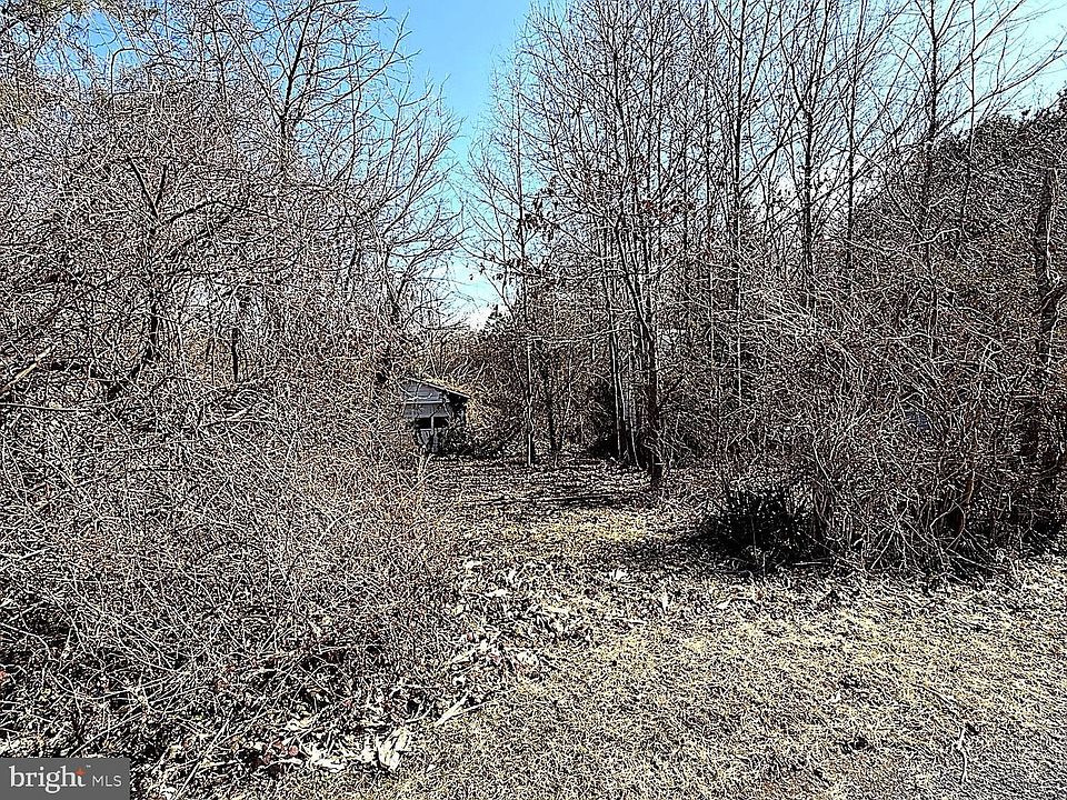2nd image of 20910 Olen Mattingly Rd