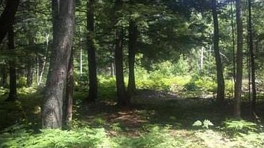 2nd image of 23 Birch Rd