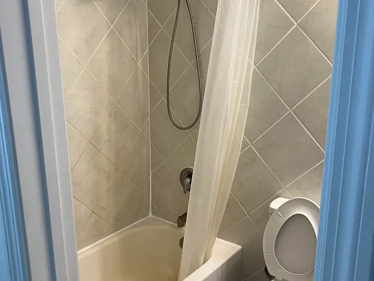 Hall bathroom photo 1 of 2