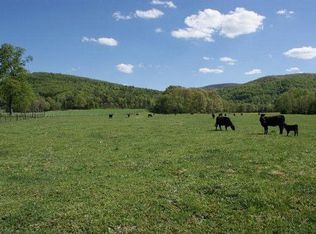 278 Saddleback Dr, Speedwell, VA 24374