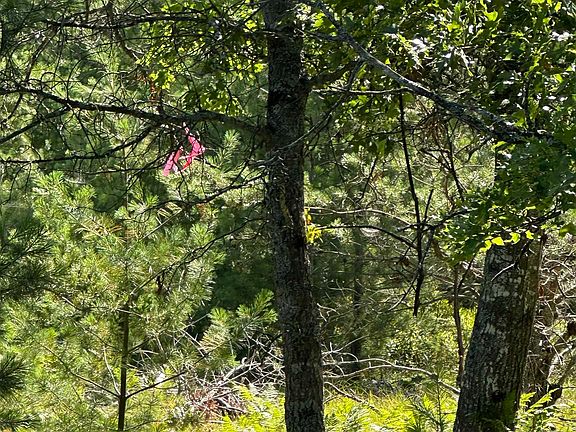 5th image of 2095 Vaughn Rd