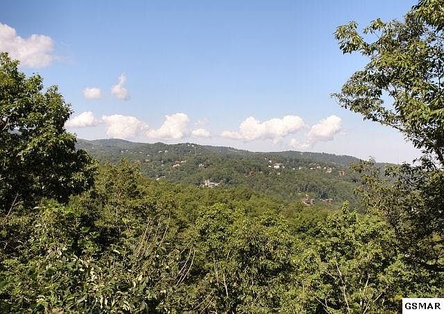 1st image of 549 Forest Springs Dr