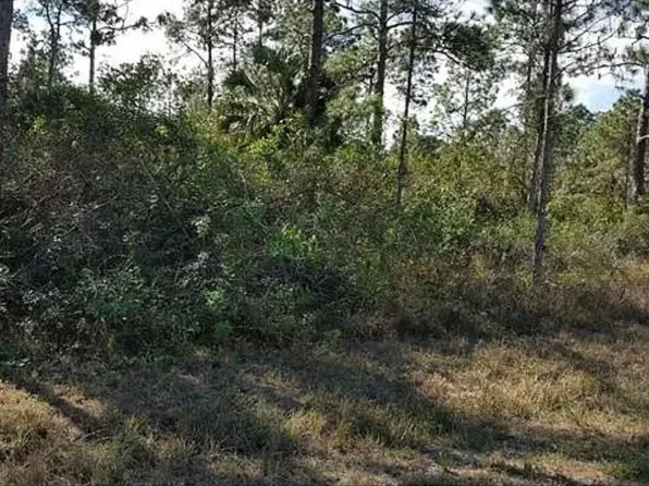1042 Summa Boulevard, Lehigh Acres, FL 33974
