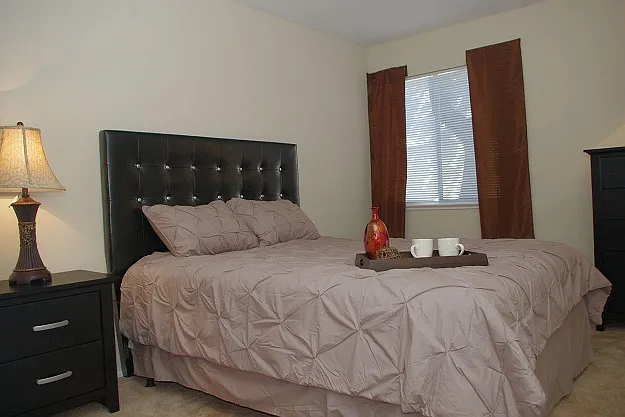 Bonnie Terrace Apartments — Photo 7