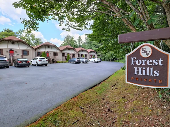 653 Overlook Way #G, Sky Valley, GA 30537