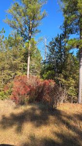 0 Deerwood Dr, Fitzgerald, GA, 31750