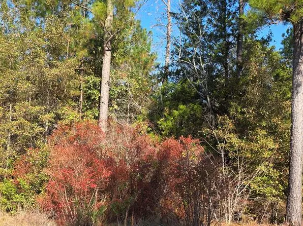 0 Deerwood Dr, Fitzgerald, GA 31750