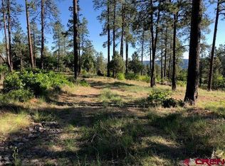 1923-1983 2019 Crooked Rd, Pagosa Springs, CO 81147
