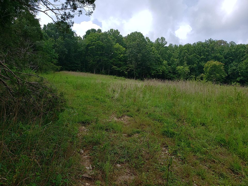 2nd image of Daniel Hollow Rd