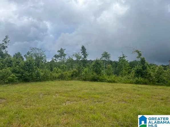 11085 Bluff Springs Rd, Cragford, AL 36255