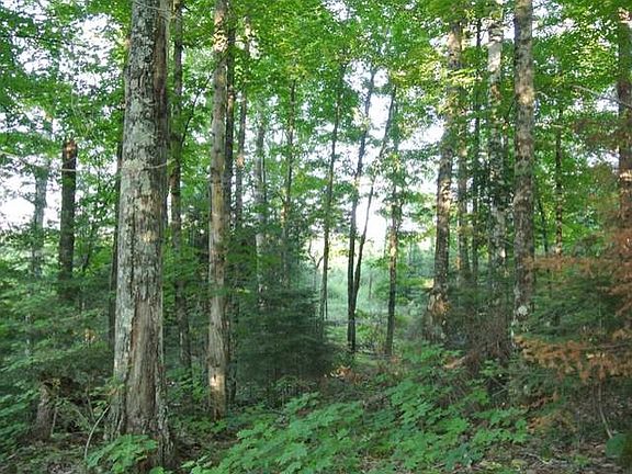 4th image of LOT 25 Choke Cherry Ln Lot 25