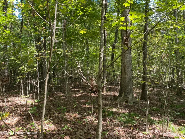 4805 Nolin Dam Rd, Mammoth Cave, KY 42259