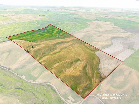 2nd image of Bongarts Rd