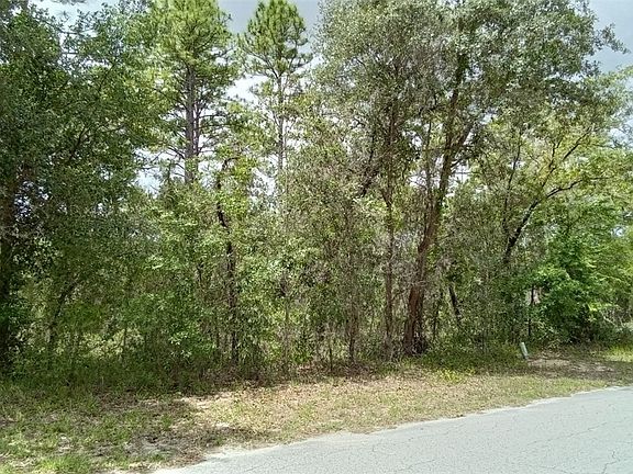 4th image of 18 Pagoda Dr