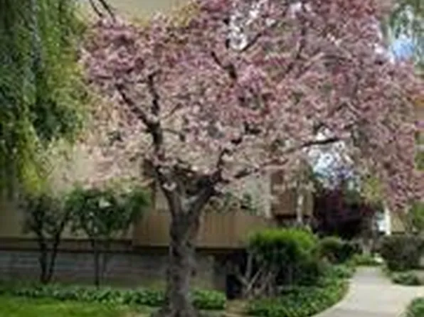 4415 Norwalk Dr APT 3, San Jose, CA 95129