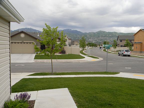 View from front porch