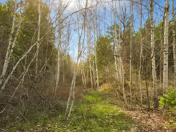 3rd image of 315 Golf Course Road