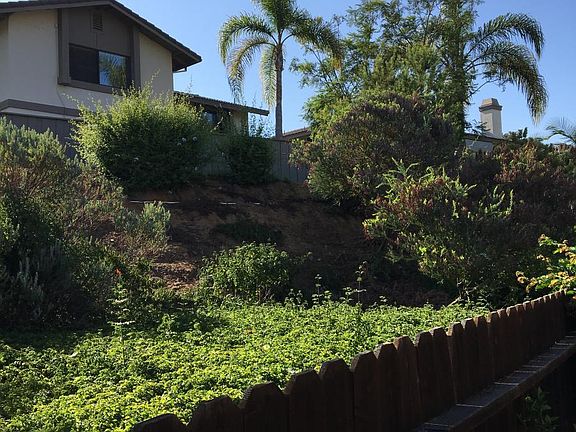 Private woods area behind patio