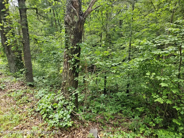 00 Pennsylvania Av, Palenville, NY 12463