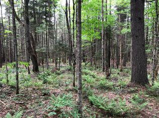 Enos Rd #2, Forestport, NY 13338