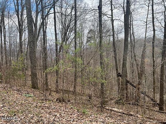 3rd image of Mountain Lake Dr