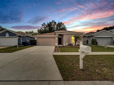 803 Parsons Pointe St, Seffner, FL, 33584