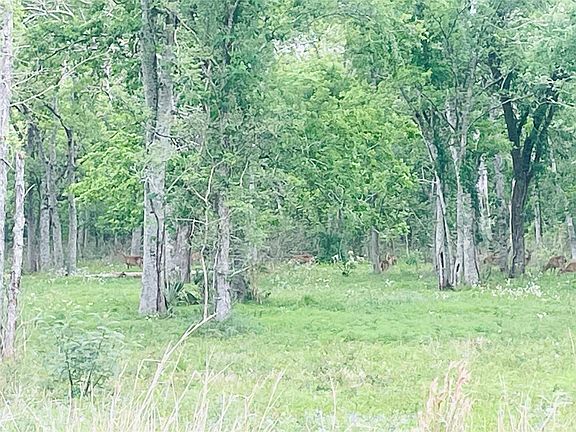 2nd image of 32502 Redfish Trl Lot 31