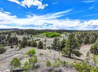 33 Jasper Way, Hartsel, CO 80449