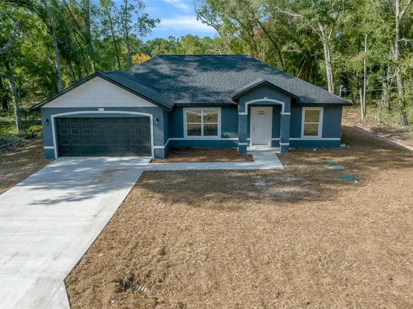 14 Guava Terrace Trce, Ocklawaha, FL 32179