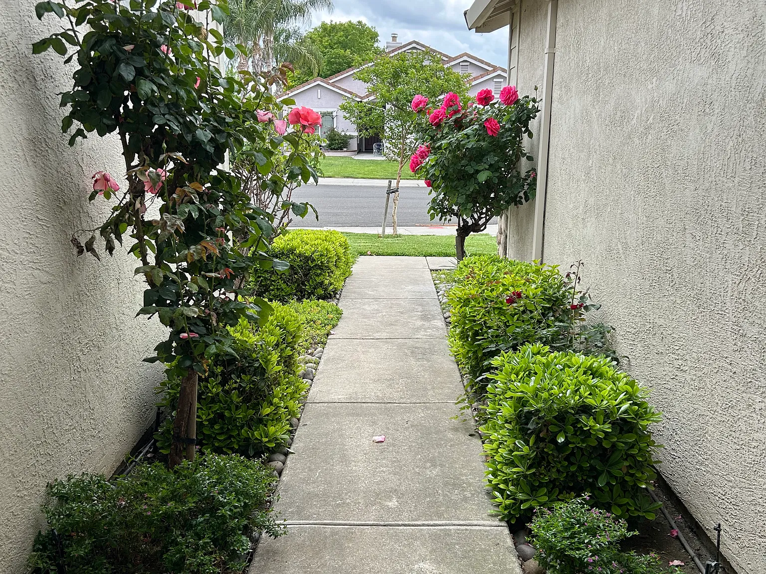 Haney Ln, Stockton — Photo 2