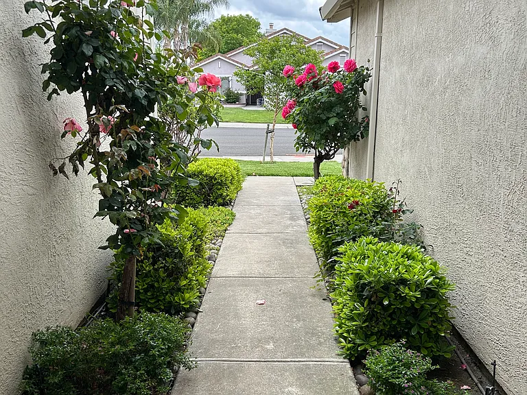 Haney Ln — Photo 2