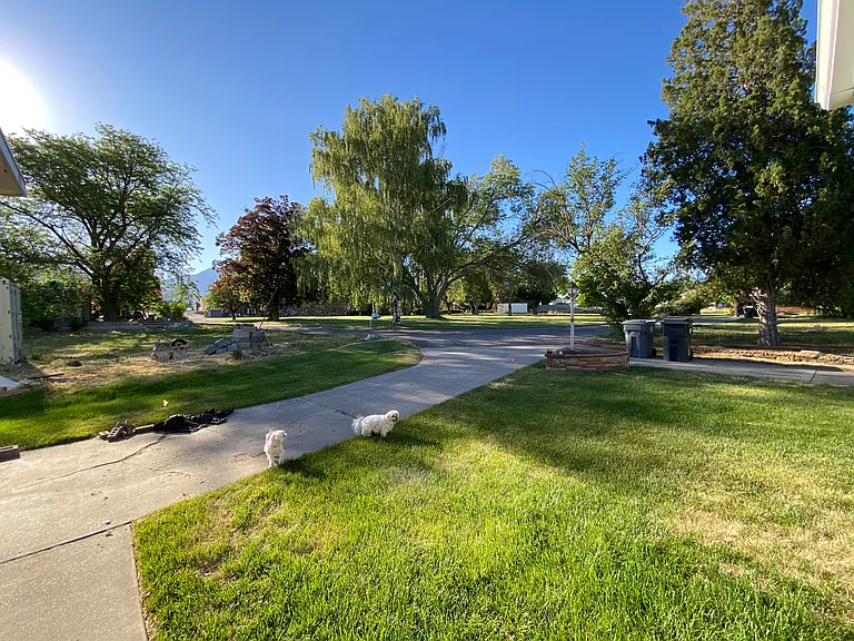 Views: From 190 looking toward Harcliff Circle